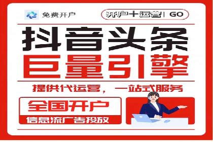 成功SEM托管代运营案例分析